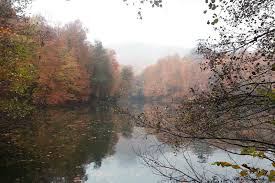 Mengen Hayranlar Köyü Resimleri 1