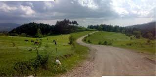 Mengen Hayranlar Köyü Resimleri 16