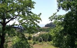 Mengen Hayranlar Köyü Resimleri 2