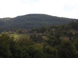 Mengen İlyaslar Köyü Resimleri 3