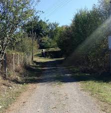 Mengen İlyaslar Köyü Resimleri 5