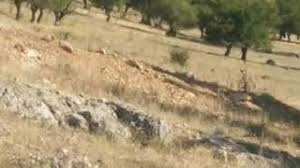 Mengen Kadılar Köyü Resimleri 1