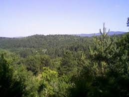 Mengen Kadısusuz Köyü Resimleri 1