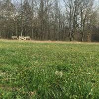 Mengen Kadısusuz Köyü Resimleri 10