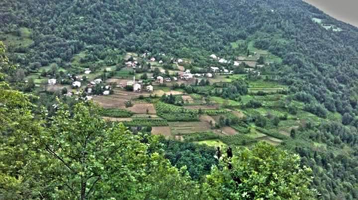 Kürtün Kırgeriş Köyü Resimleri 4