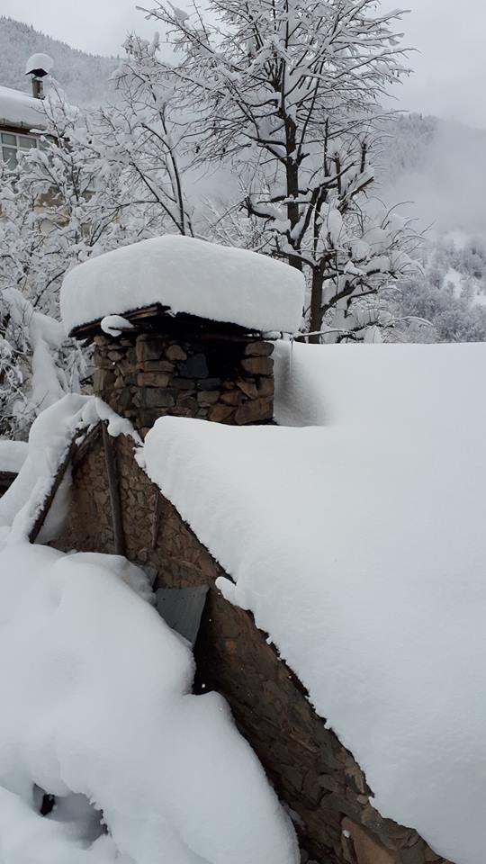 Kürtün Kırgeriş Köyü Resimleri 5