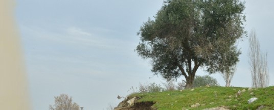 Şehzadeler Turgut  Özal Köyü Resimleri 3