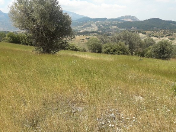 Şehzadeler Utku Köyü Resimleri 1