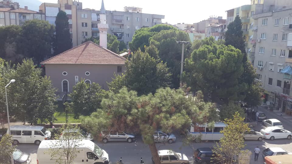 Şehzadeler Yarhasanlar Köyü Resimleri 1