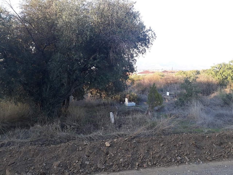 Turgutlu Avşar Köyü Resimleri 7