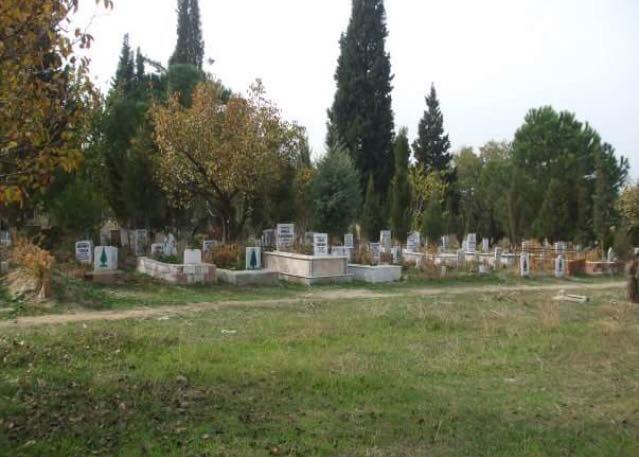 Turgutlu Avşar Köyü Resimleri 8