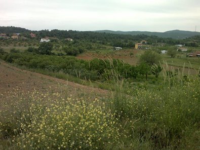 Turgutlu Ayvacık Köyü Resimleri 3