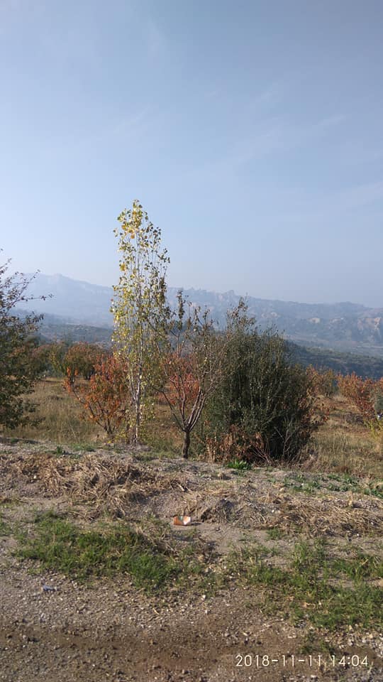 Turgutlu Baktırlı Köyü Resimleri 2