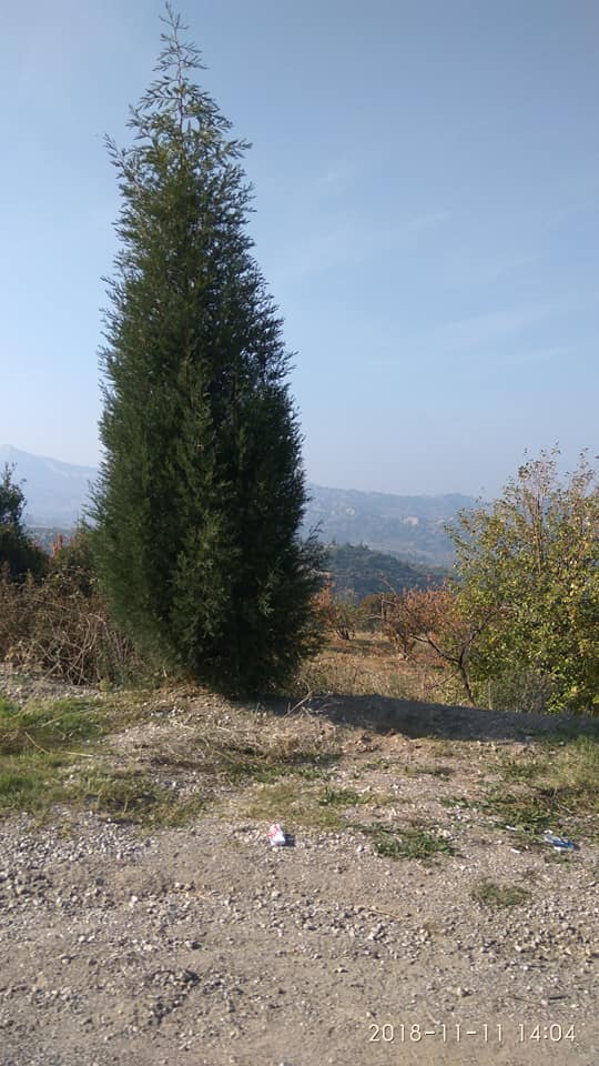 Turgutlu Baktırlı Köyü Resimleri 3