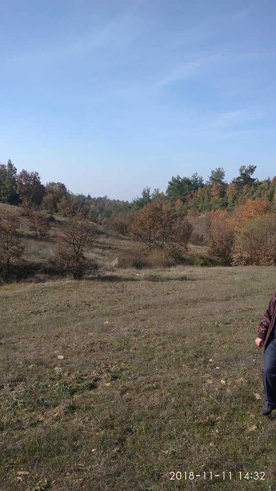 Turgutlu Baktırlı Köyü Resimleri 4