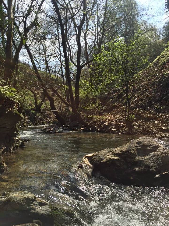 Turgutlu Çatalköprü Köyü Resimleri 1