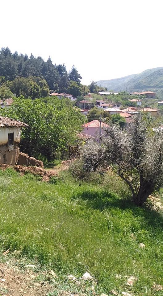 Turgutlu Çatalköprü Köyü Resimleri 11