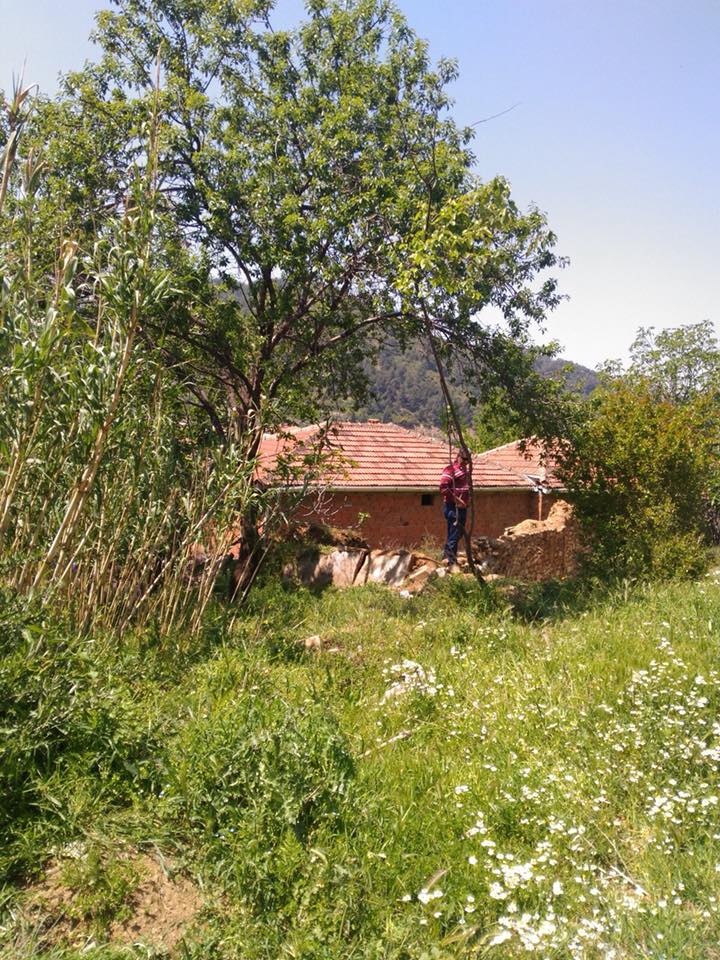 Turgutlu Çatalköprü Köyü Resimleri 13