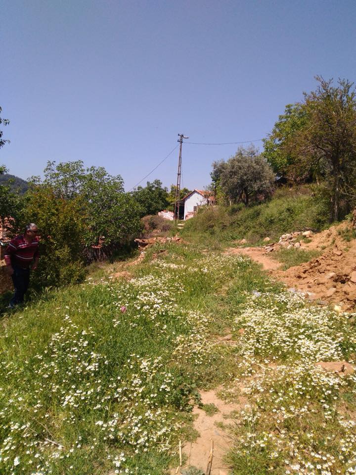 Turgutlu Çatalköprü Köyü Resimleri 14