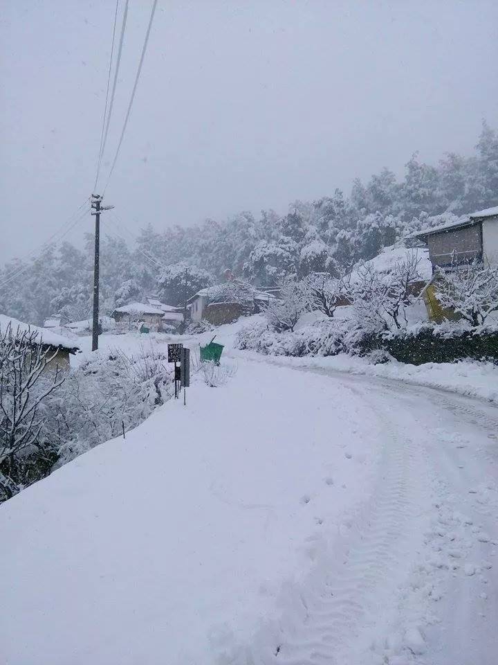 Turgutlu Çatalköprü Köyü Resimleri 2