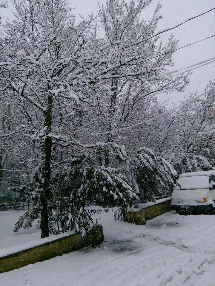 Turgutlu Çatalköprü Köyü Resimleri 3