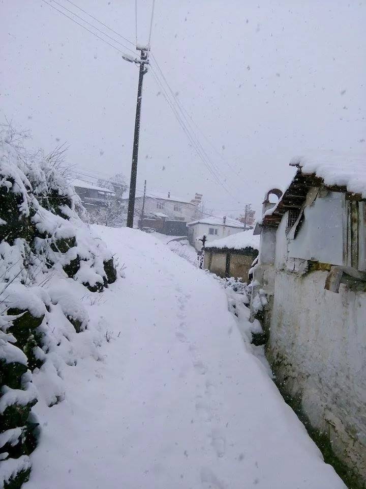 Turgutlu Çatalköprü Köyü Resimleri 4