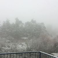 Turgutlu Güney Köyü Resimleri 11