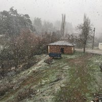 Turgutlu Güney Köyü Resimleri 12