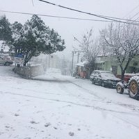 Turgutlu Güney Köyü Resimleri 14