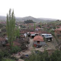 Turgutlu Güney Köyü Resimleri 3