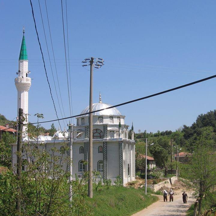 Turgutlu Güney Köyü Resimleri 4