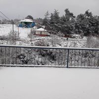 Turgutlu Güney Köyü Resimleri 8