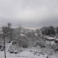 Turgutlu Güney Köyü Resimleri 9