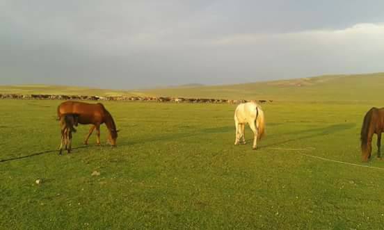 Göle Dölekçayır Köyü Resimleri 1