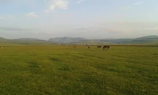 Göle Dölekçayır Köyü Resimleri 4