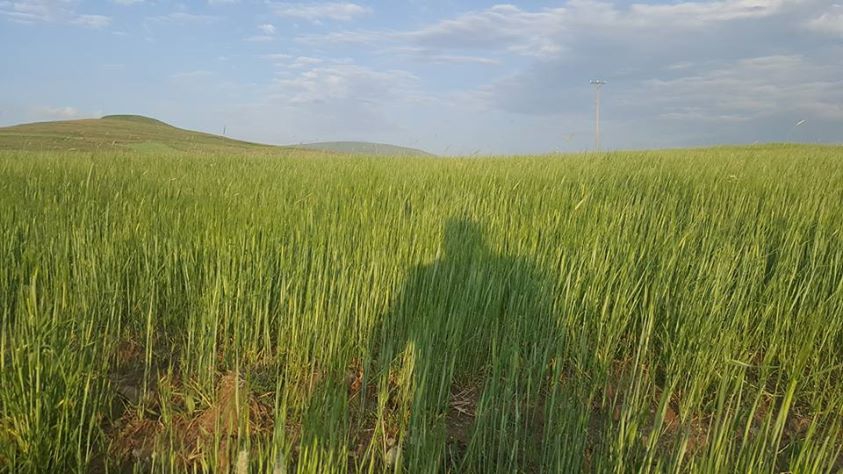 Göle Durucasu Köyü Resimleri 7