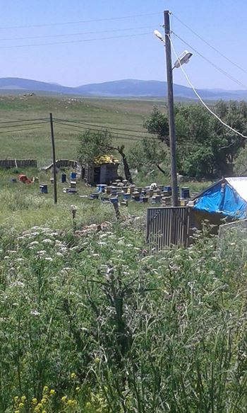 Göle Durucasu Köyü Resimleri 9