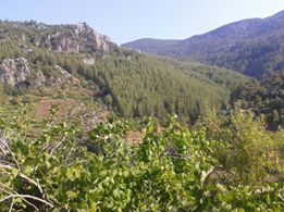 Antalya Gazipaşa Çığlık Köyü Resimleri 2