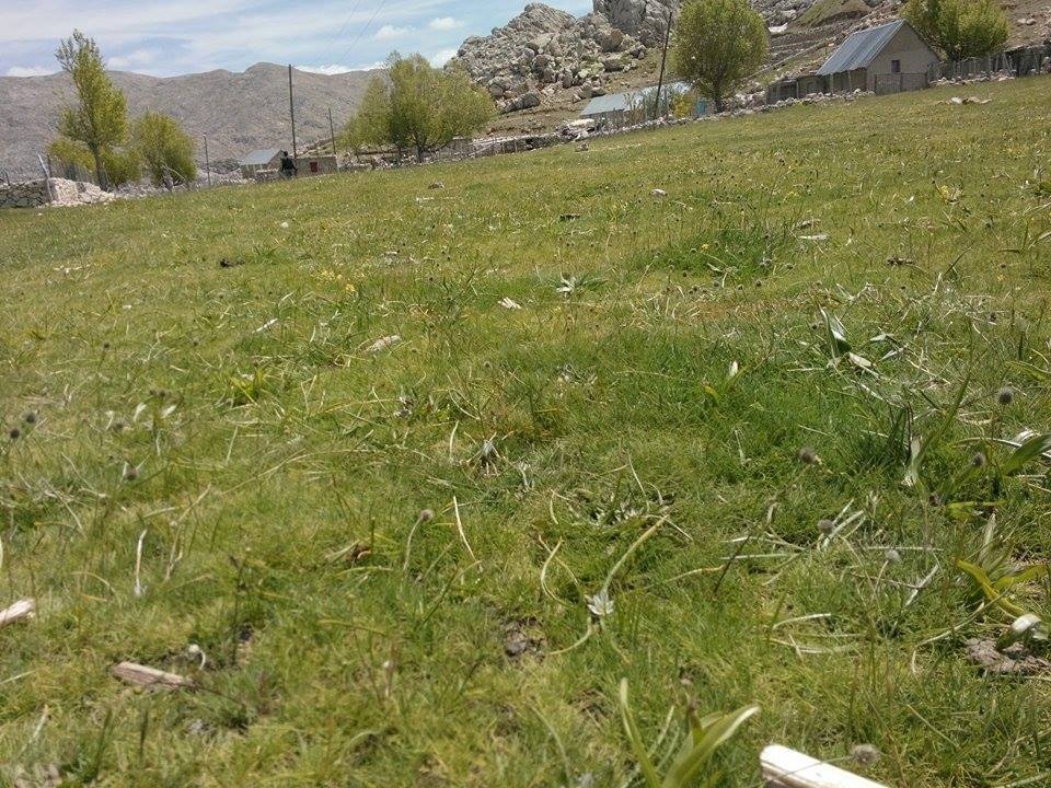 Antalya Gazipaşa Çörüş Köyü Resimleri 28