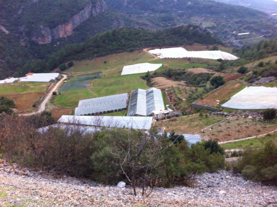 Antalya Gazipaşa Çörüş Köyü Resimleri 4
