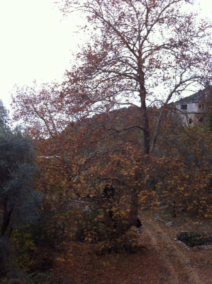 Antalya Gazipaşa Çörüş Köyü Resimleri 5