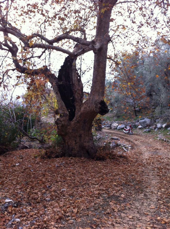 Antalya Gazipaşa Çörüş Köyü Resimleri 6