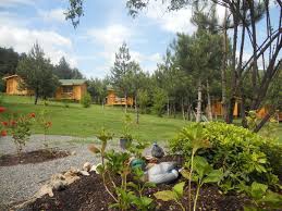 Mengen Karakaya Köyü Resimleri 4