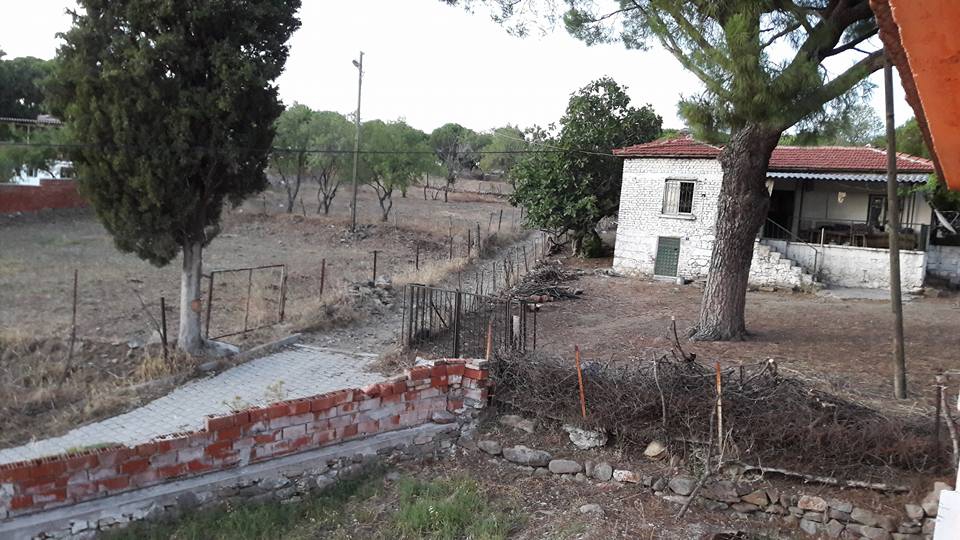 ayvalik bagyuzu koyu resimleri