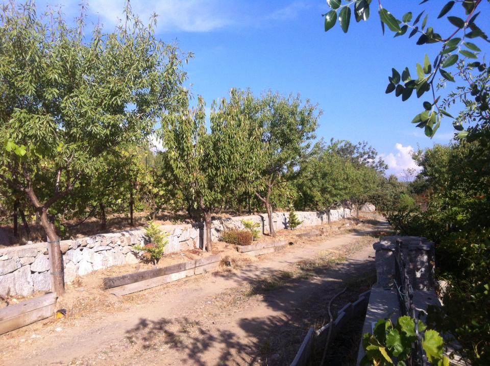 Ayvalık Bağyüzü Köyü Resimleri 5