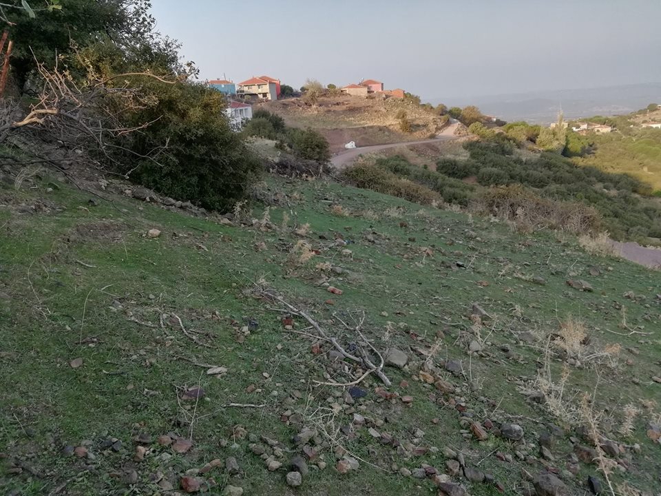 Ayvalık Bulutçeşme Köyü Resimleri 6