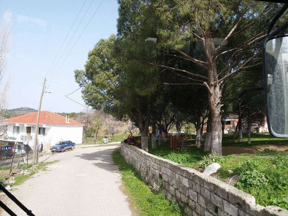 Ayvalık Hacıveliler Köyü Resimleri 6