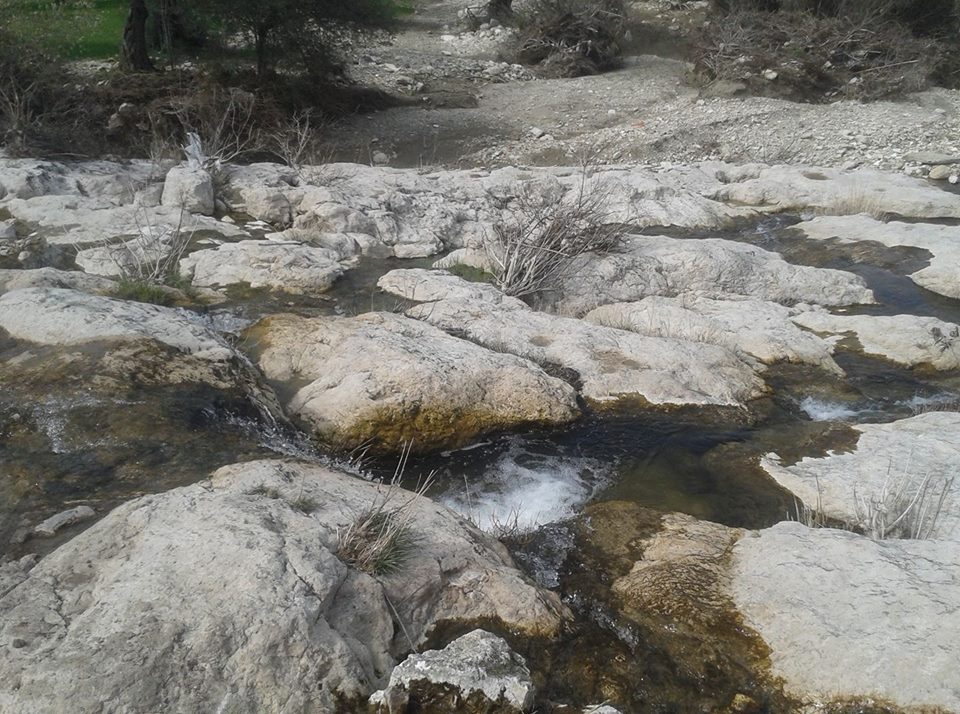 Ayvalık Murateli Köyü Resimleri 3