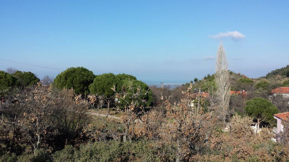 Ayvalık Tıfıllar Köyü Resimleri 2