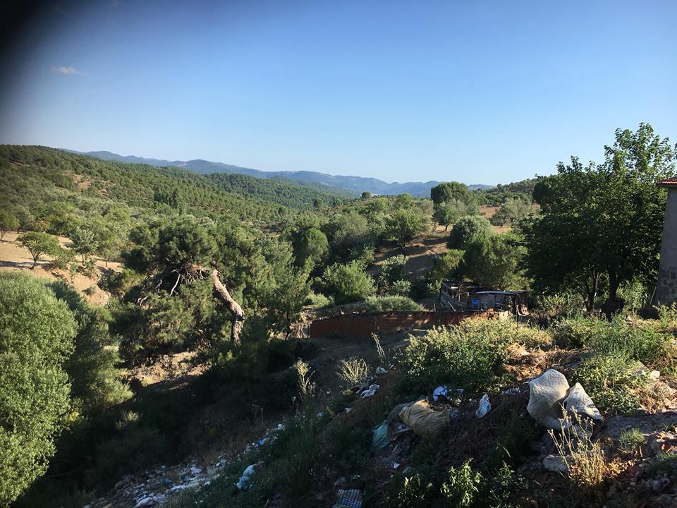 Ayvalık Tıfıllar Köyü Resimleri 7